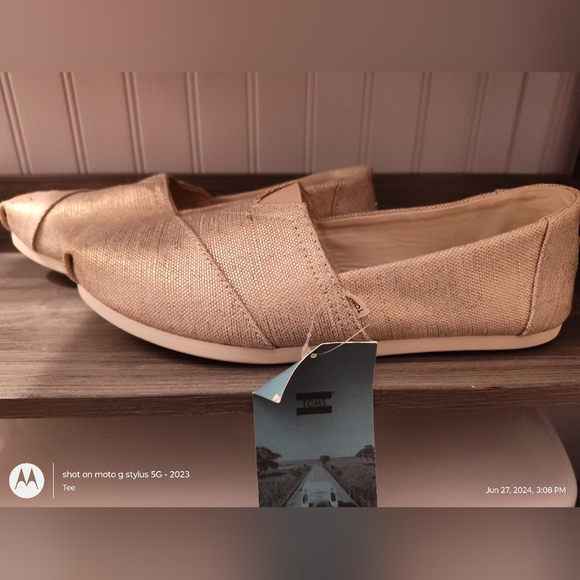 Women's size 12 Toms - Picture 1 of 12